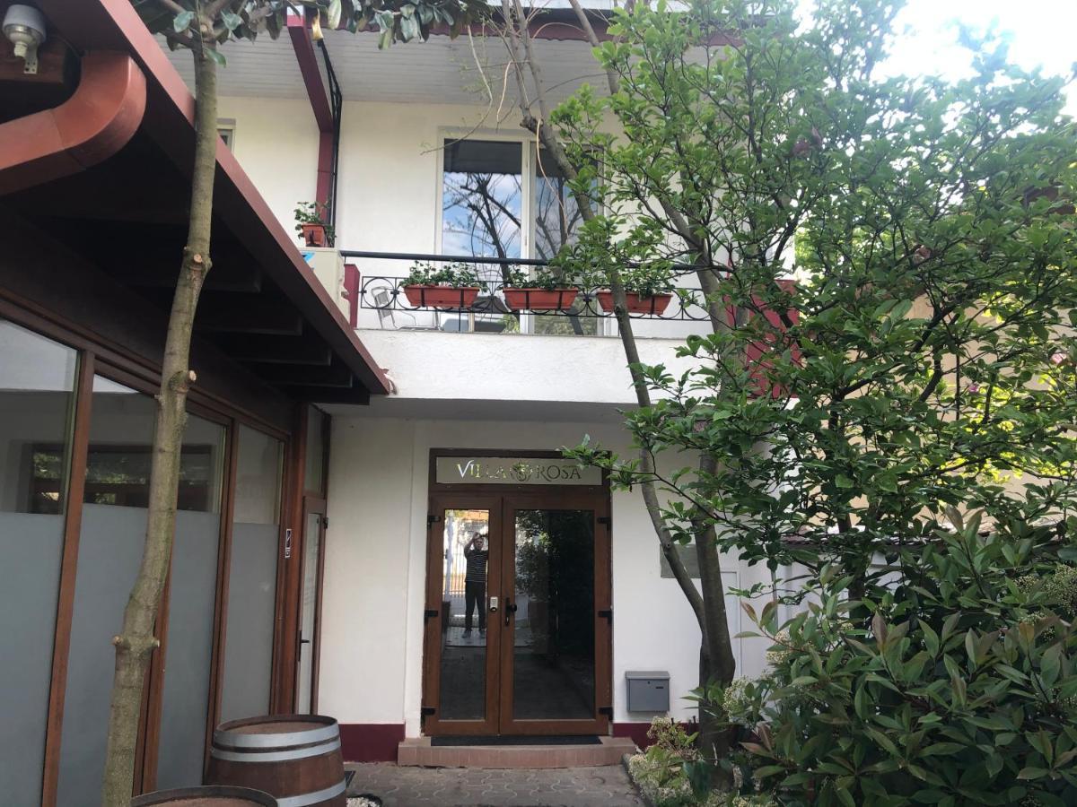 Villa Rosa Τιμισοάρα Εξωτερικό φωτογραφία